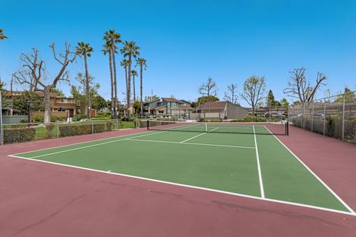 A tennis court with a green and red surface surrounded by houses and palm trees.