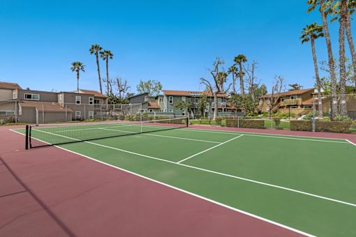 A tennis court with a net and palm trees in the background.