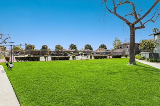 A large grassy area with a tree and benches.