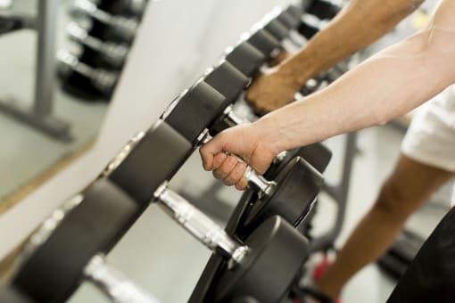 a person working out in a gym with a dog in the background