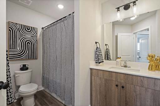 A bathroom with a toilet, a shower curtain, a mirror, and a cabinet.