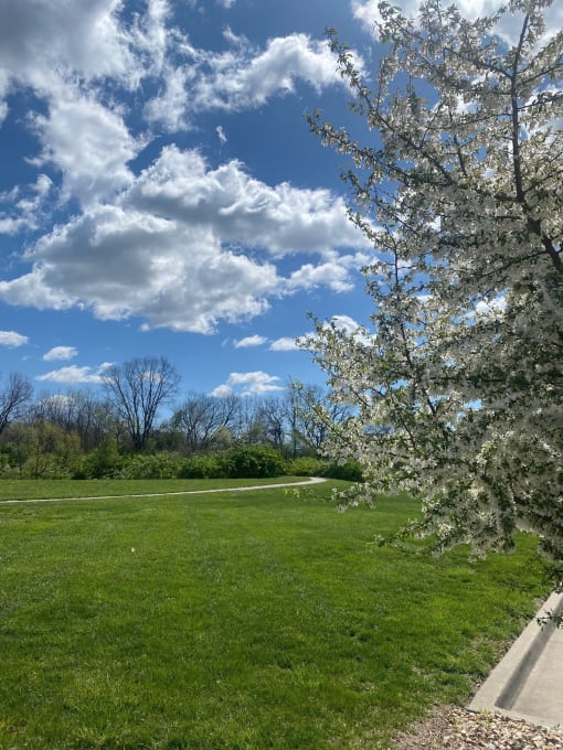 walking trail 