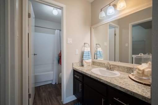 a bathroom with a sink and a mirror
