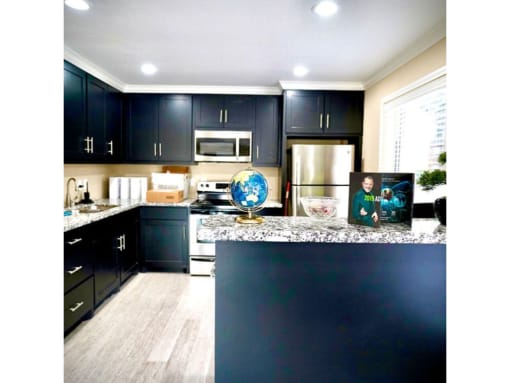 a kitchen with black cabinets and a globe on the counter