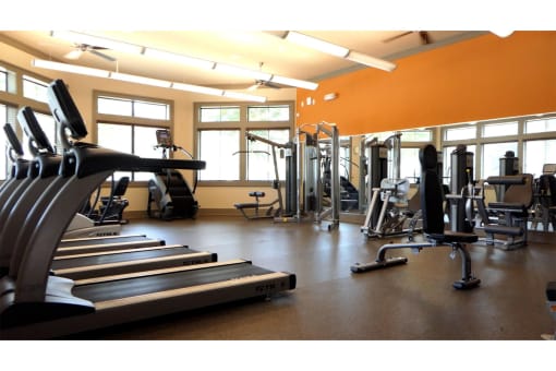 a gym with treadmills and other exercise equipment