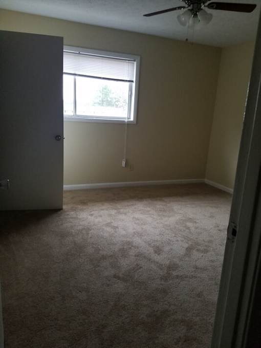 A room with a carpeted floor and a ceiling fan.