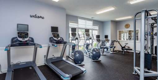 A gym with treadmills, elliptical machines, and other exercise equipment.