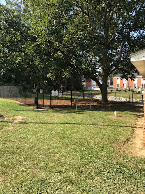 A tree is in front of a building with a fence in the foreground.