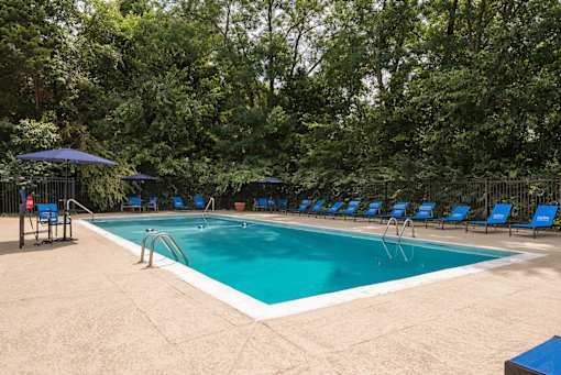 A large outdoor swimming pool surrounded by trees and lounge chairs.