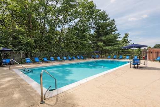 A pool surrounded by trees and chairs.