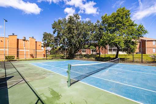 A tennis court with a green net and trees in the background.
