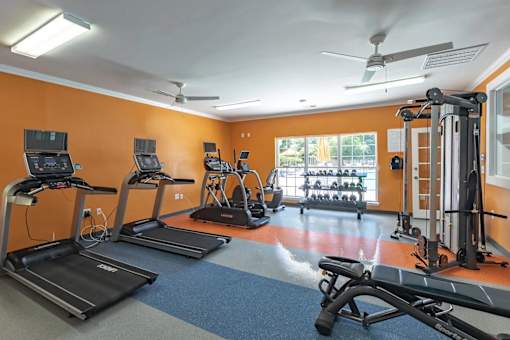 A gym with treadmills, elliptical machines, and a fan.