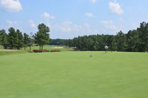 a view of the beautiful scenery of the taylor meadows golf course