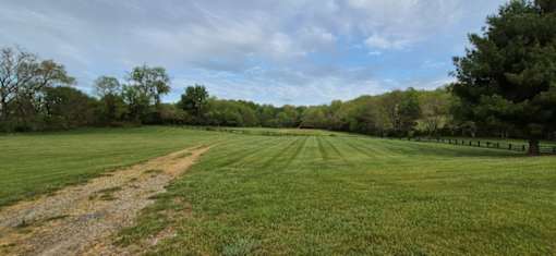 A large, open field with a dirt path running through it.