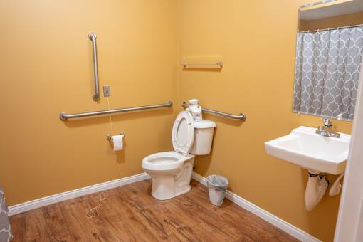 A bathroom with a toilet, sink, and grab bars.