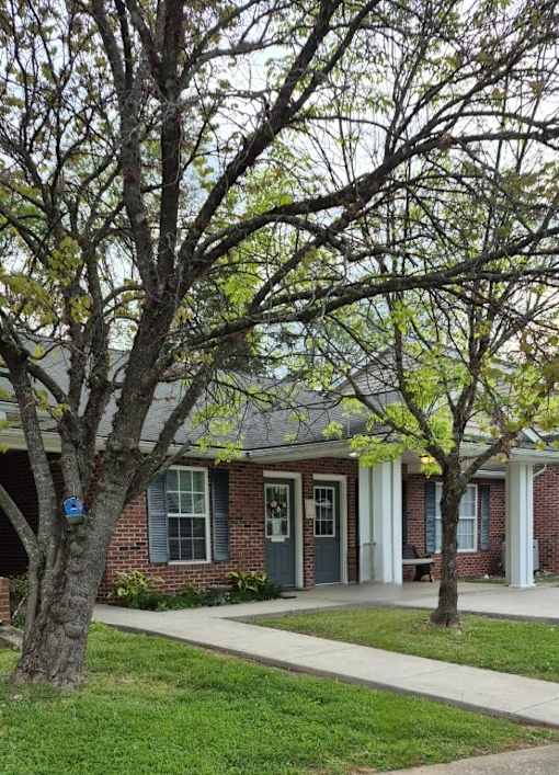 A tree with green leaves is in front of a house.