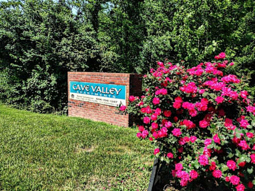 A sign that says Cave Valley stands in front of a bush with pink flowers.