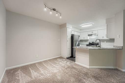A kitchen area with a counter and cabinets.
