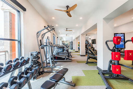 Modern fitness center with cardio machines, strength training equipment, and free weights.