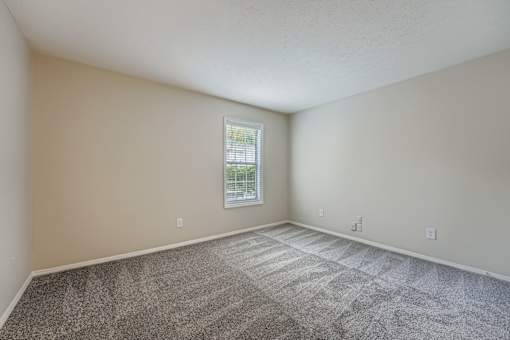 A room with a carpeted floor and a window.
