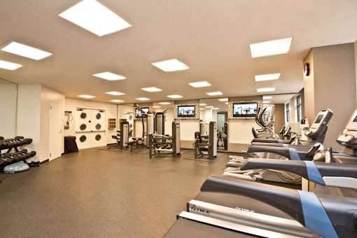 A gym with treadmills, weights, and exercise equipment.