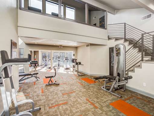 A gym with a variety of equipment including a treadmill, weights, and a bench press.