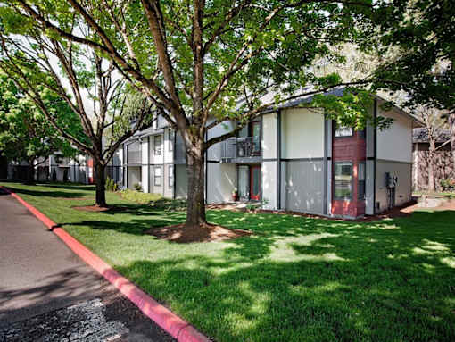 A tree in front of a building with a red line on the ground.