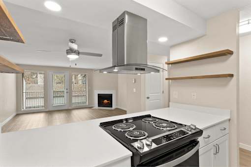 A modern kitchen with a stove top oven and a range hood.