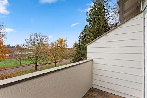 A view from a balcony overlooking a tree-lined street.