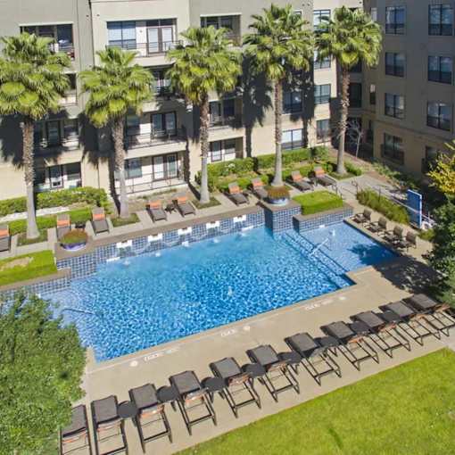 A swimming pool surrounded by palm trees and lounge chairs.