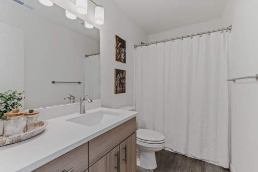 Designer Bathroom Suites at Thrive at Green Mountain, Camas, 98607
