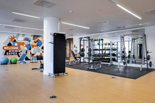 A gym with a variety of equipment including a squat rack, a bench, and a weight machine.
