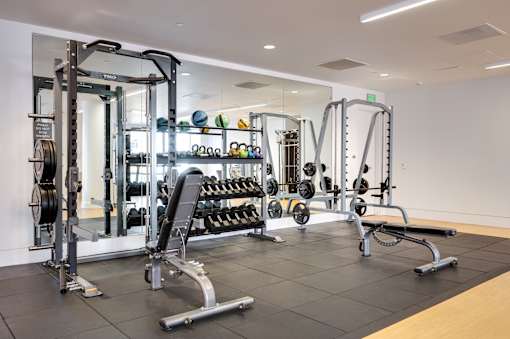 A gym with a variety of equipment including a squat rack, bench, and weights.