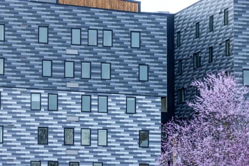 a building with a tree in front of it at Moraine, Tacoma, Washington 98402