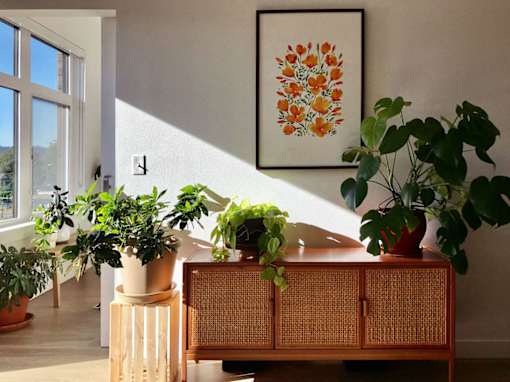 a living room filled with furniture and plants at Holm at Sellwood, Portland, OR