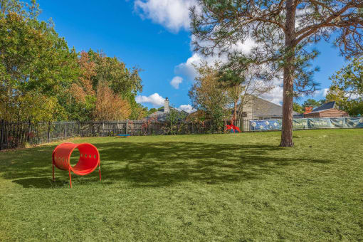 a large grassy area with a playground in the background
