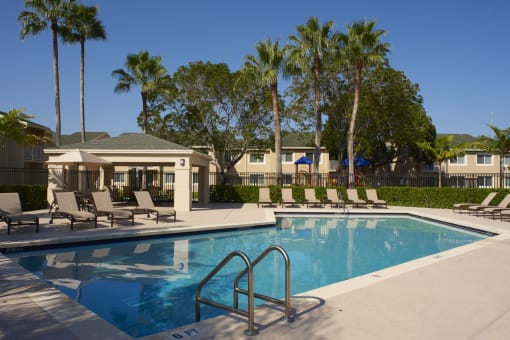 the swimming pool at the resort at longboat key club