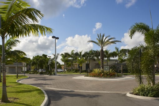 a roundabout with palm trees in front of a building