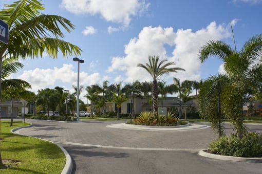 a roundabout with palm trees in front of a building
