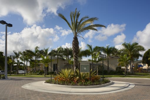 a roundabout with a palm tree in front of a building