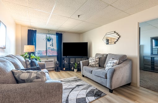 A living room with a grey couch and a television.