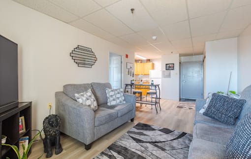 A living room with a grey couch and a television.