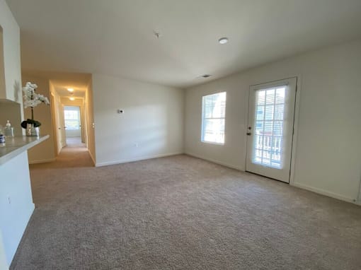 A large, empty room with carpeted flooring and two windows.