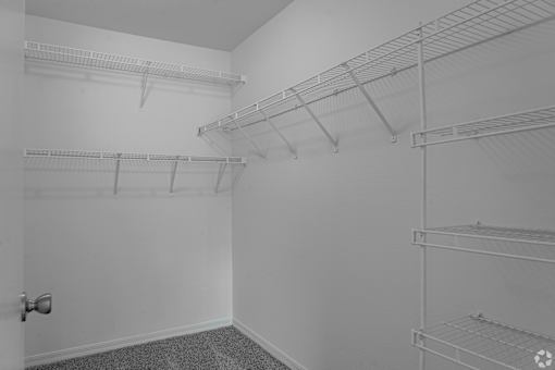 Empty room with shelves and a door.