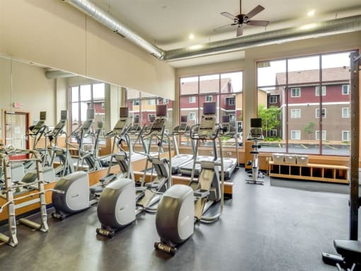 Cardio machines at Campus Park, Duluth, MN