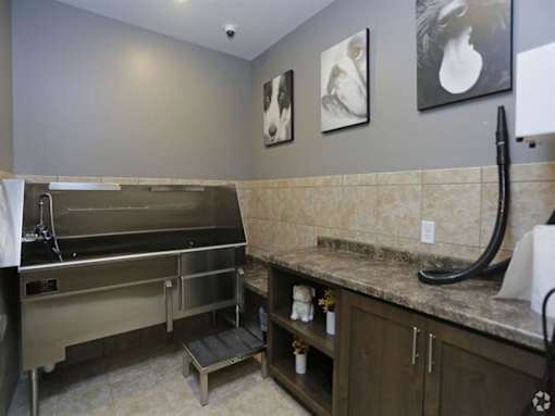 a bathroom with a sink and a stove in it at Arbor Ridge, Forest Lake, MN, 55025