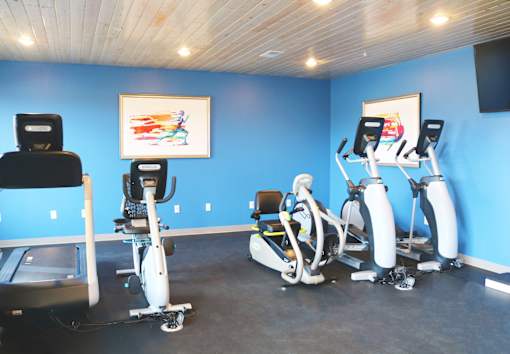 a gym with cardio equipment and a painting on the wall  at Timber Ridge, Minnesota, 55025