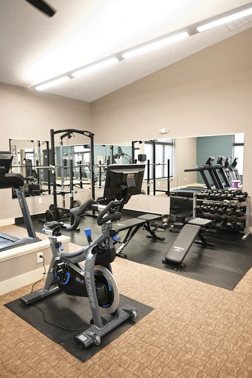A gym with a variety of equipment including a stationary bike, a bench press, and a rowing machine.