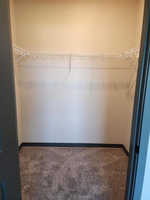 Empty room with a carpeted floor and a wire shelf.