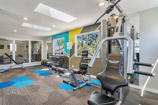 A gym with a variety of equipment including a leg press machine.